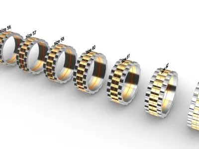 wideng ring two tone 8mm wide size 52 3D print model