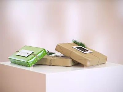 Gifts boxes HG2 3D model