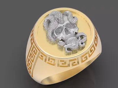 Skull and snake man ring Sculpture jewelry Gold silver  3D print model