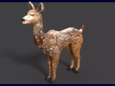 axis deer 3D model