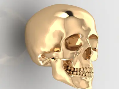 Skull 12 3D print model
