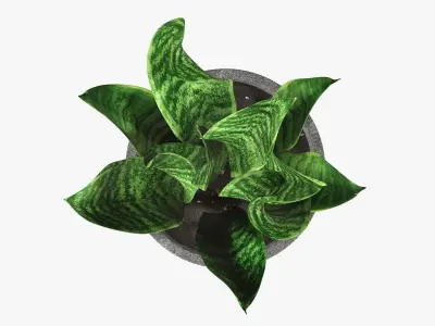 Potted plant decorative 02 3D model