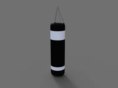 Punching Bag  Free 3D model