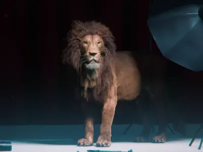 Lion Photorealistic Rigged 3d Blender 4K model  3D model