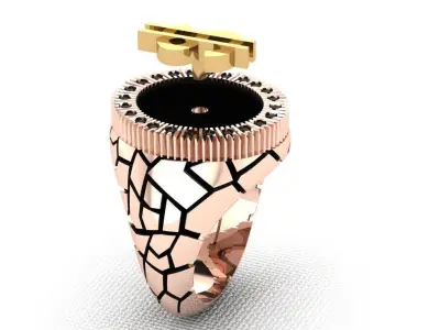 3d model ring Free 3D print model