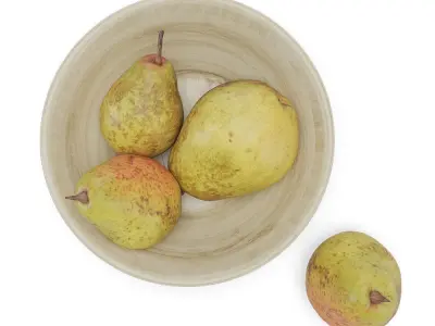 Bartlett Pears 3D model