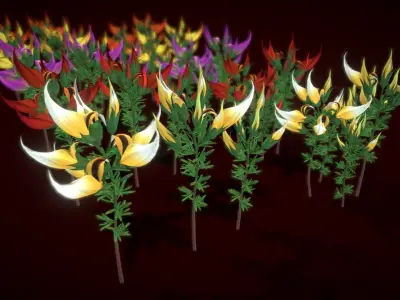 Flower Lotus Berthelotii Low-poly 3D model