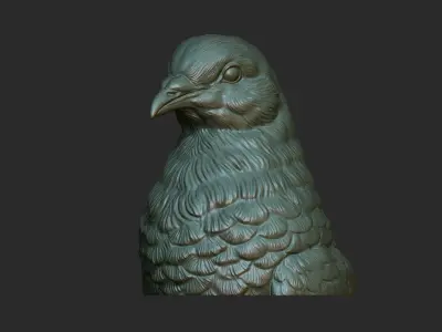 Pigeon bust 3D print model