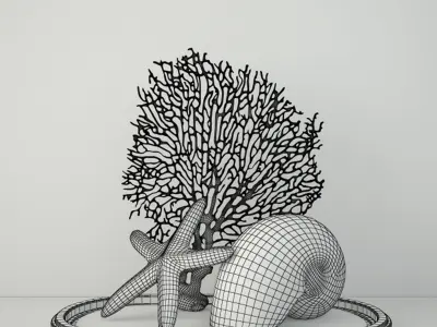 Oval Sea Life Glass Dome 3D model