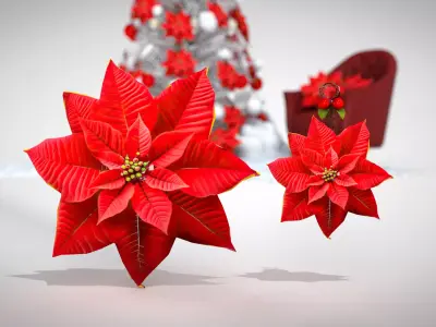 Christmas Red Flowers Pouf and Pillow 3D Model 3D model