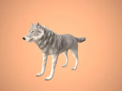 Wolf - Stylized Animals Pack Low-poly 3D model