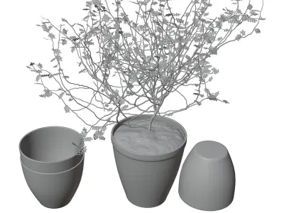 Decorative tree in a pot HG2 3D model