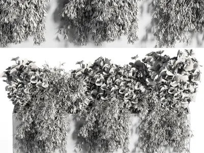 Outdoor Plants tree in Concrete Box 07 3D model