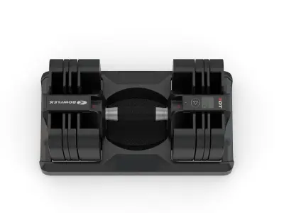 Bowflex SelectTech 560 Dumbbells 3D model