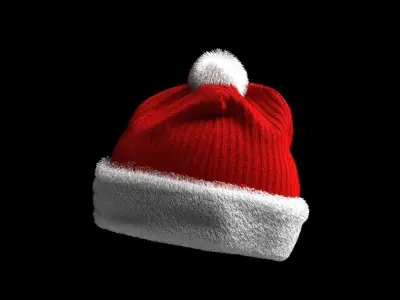 Christmas Beanie hat 3D model