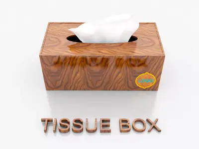 LUXURY DESIGN TISSUE BOX 3D model