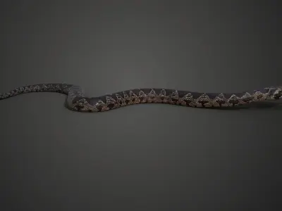 Palestine viper Animated VFX Grace 3D model