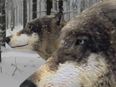 Textured Low Poly Wolf 3D model