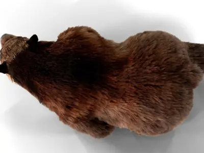 Fur Brown Bear animated  Low-poly 3D model