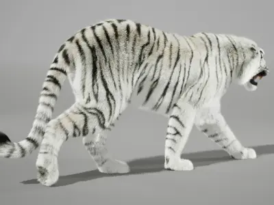 White Tiger Animated UNREAL project  Maya base rig 3D model