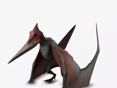 Pteranodon 3D model