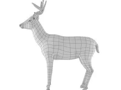 Deer Base Mesh Low-poly 3D model
