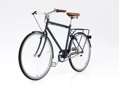 Bike Vintage Roadster 3D model