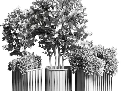 Collection Outdoor plant in concrete pot 16 Low-poly 3D model