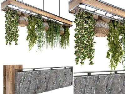 Restaurant counter with hanging plants 3D model