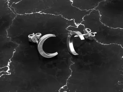 Jewelry Earring Crescent Shape 3D print model