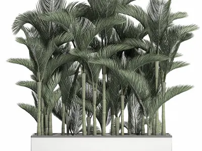 Palm in a white pot for the interior 671 3D model