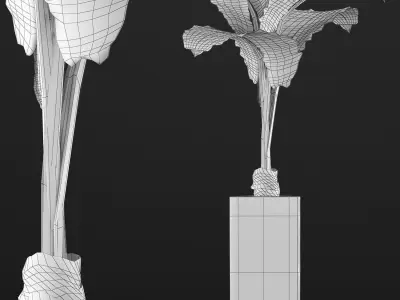 Plants Collection 75 3D model