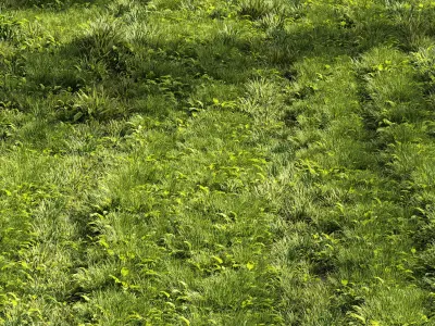 Meadow Lawn Grassland Set 005 3D model