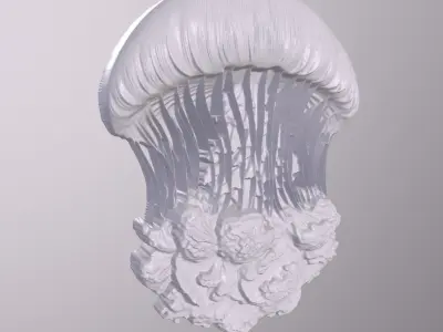 Jellyfish 5 basrelief for 3D printing 3D print model