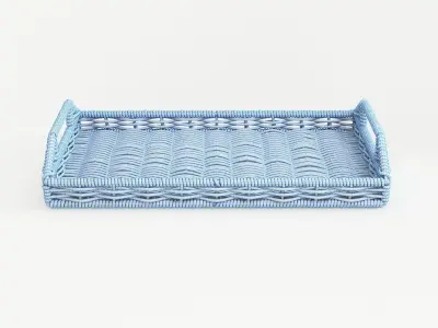 Wicker Tray 3D model