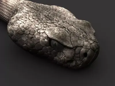 Snake 3D model