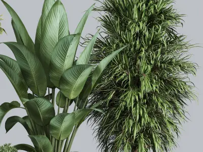 indoor plant set 376 plant ficus rubbery tree palm Low-poly 3D model