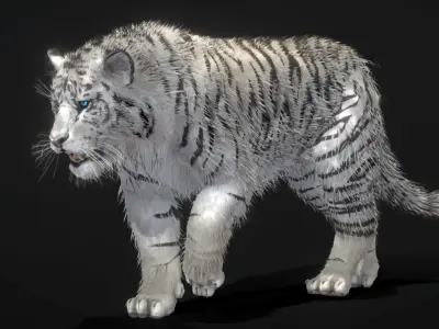 White Tiger 3D model purchase