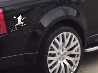 Frog Car Sticker 3D model