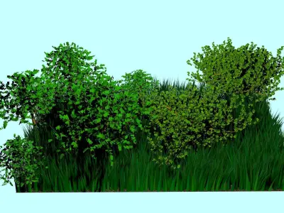 Forest 3D model