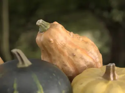 3D Pumpkin models  3D Model Collection