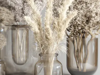 Dry Bouquet Collection 05 Dried autumn plants and flowers 3D model