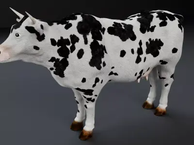 Dairy Cow  3D model