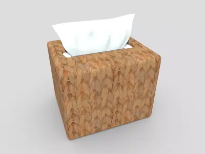 Tissue Box 5 Low-poly 3D model