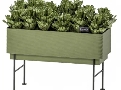 Home mini-garden in a pot in the kitchen 526 3D model