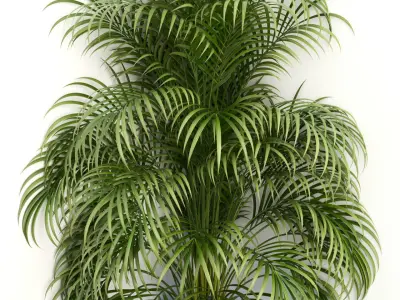 Plants collection 108 3D model