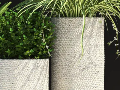 plants set 129 3D model