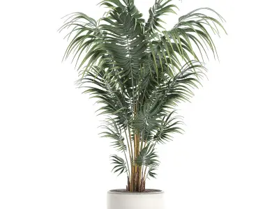 Decorative palm in a white flowerpot 518 3D model