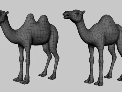 Camel Pack  Low-poly 3D model