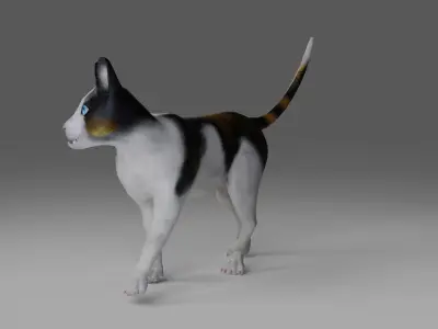 Calico Cat rigged and animated  Low-poly 3D model